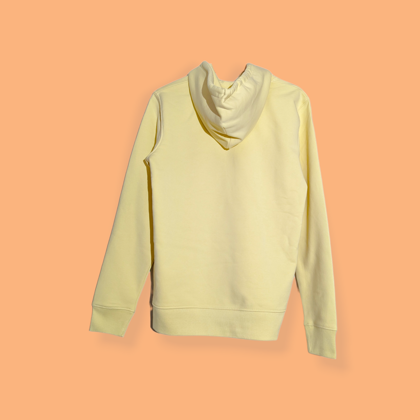 akiratypes hoodie
